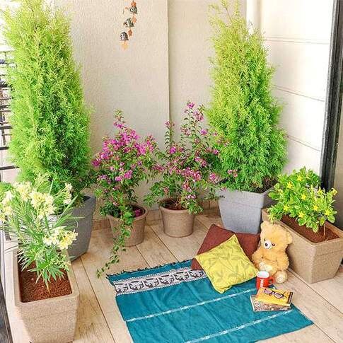 Charming Flowering And Foliage Plants For A Garden In Balcony Pack